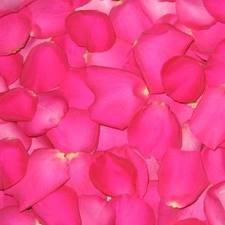 Foto 

Bolsa de pétalos de rosa rosa 600 gr


