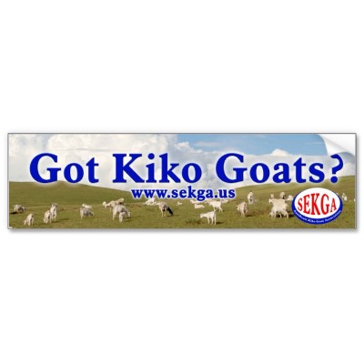 Foto ¿Cabras conseguidas de Kiko? Pegatina para el para Etiqueta De...