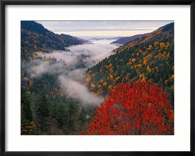 Foto Autumn View of Fog from Morton Overlook, Great Smoky Mountains National Park, Tennessee, USA