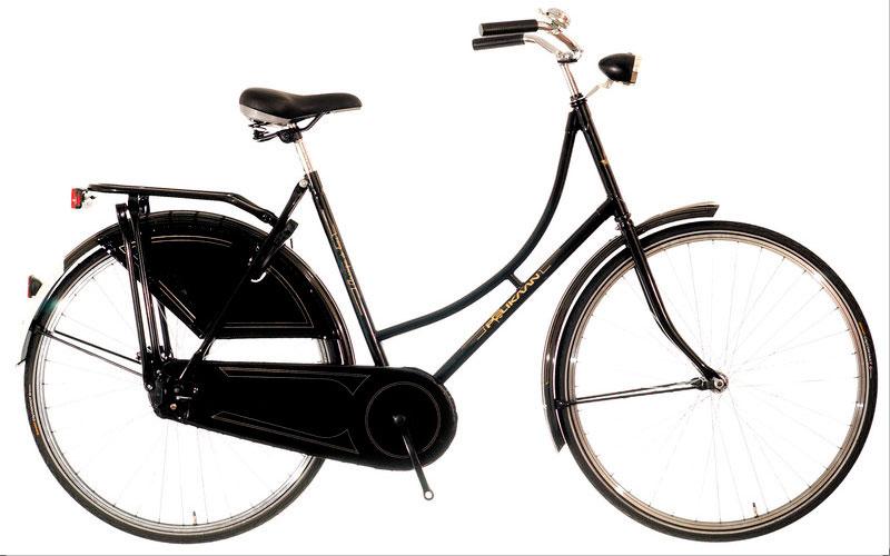 Foto Bicicleta Holland