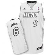 Foto Camiseta Miami Heat LeBron James White Hot Revolution 30 Swingman