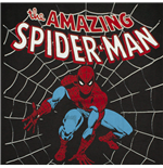 Foto Camiseta The Amazing SPIDERMAN Web
