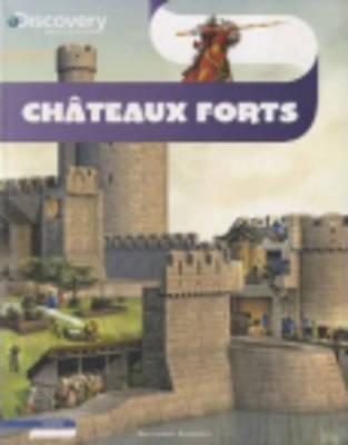Foto Châteaux forts