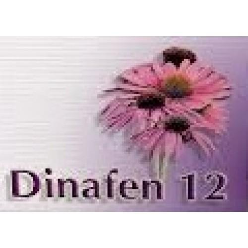 Foto Dinafen 12