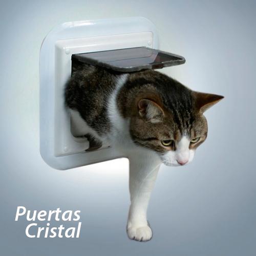 Foto Gatera / Trampilla para gatos (Puertas Cristal)