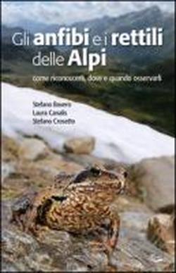 Foto Gli anfibi e i rettili delle Alpi. Come riconoscerli, dove e quando osservarli