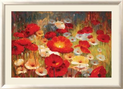 Foto Lámina enmarcada Meadow Poppies I de Lucas Santini, 79x110 in.