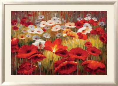 Foto Lámina enmarcada Meadow Poppies II de Lucas Santini, 79x110 in.