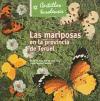 Foto Las Mariposas En La Provincia De Teruel