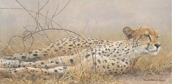 Foto Londolosi Cheetah by Robert Bateman