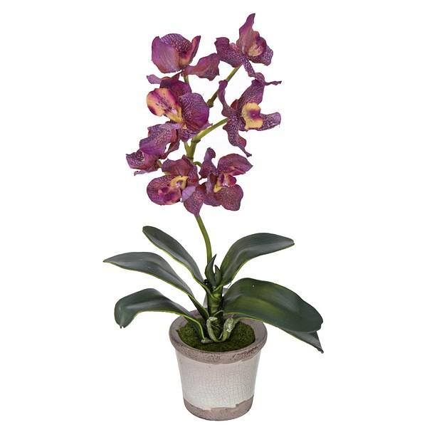 Foto Planta flores orquideas artificiales vanda malva 33