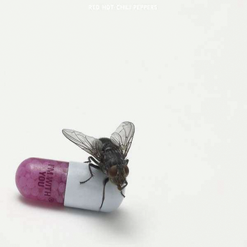 Foto Red Hot Chili Peppers: I'm with you - CD