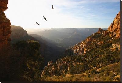 Foto Reproducción en lienzo de la lámina Grand Canyon II de Dale MacMillan, 66x97 in.