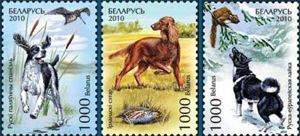 Foto Sello de Bielorrusia 719-721 Fauna. Perros de caza
