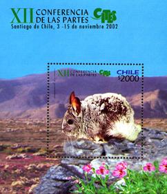 Foto Sello de Chile 72 Fauna. Chinchilla