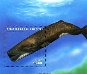 Foto Sello de Chile 73 Cetaceos de Chile. Cachalote