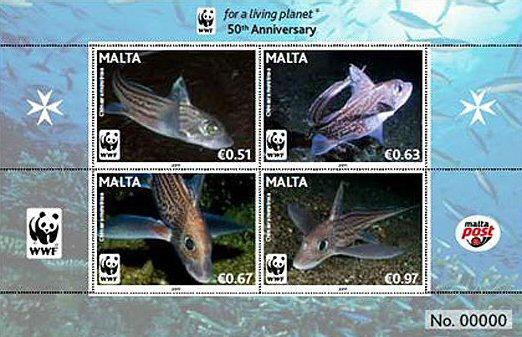 Foto Sello de Malta 1607-1609 50 aniv. WWF. Fauna marina