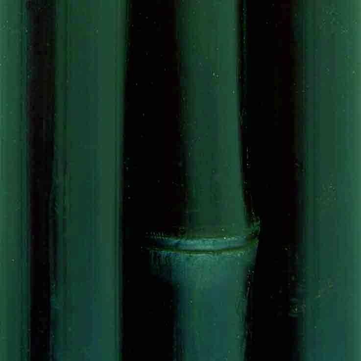 Foto 

Pack 5 cañas de bambú decoración verde oscuro 80/100 mm x 2,40 mt


 foto 744480