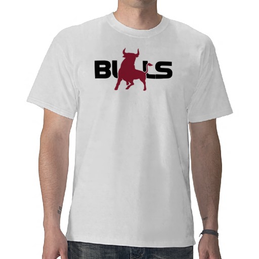Foto ¡Nuevo! Camiseta de los toros de Bridgeport foto 652708