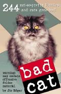 Foto Bad cat (en papel) foto 816967