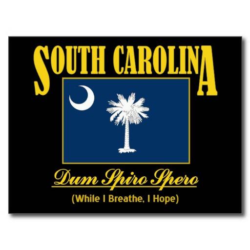 Foto Bandera/lema de Carolina del Sur Tarjetas Postales foto 680588