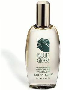 Foto Blue Grass Perfume por Elizabeth Arden 100 ml EDP Vaporizador foto 862995