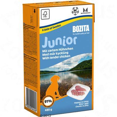 Foto Bozita Junior Pollo en gelatina - 6 x 480 g - Pack Ahorro foto 616751