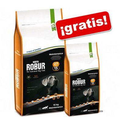 Foto Bozita Robur 12 a 15 kg 1,5 / 2 kg gratis! - Genuine con cordero y arroz 23/1 foto 721661