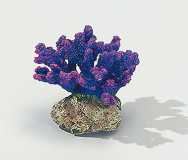 Foto Decoración Europet Decor. Finger-Coral Lila 16.5 Cm foto 639293