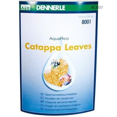 Foto Dennerle Catappa Leaves - 10 unidades foto 91128