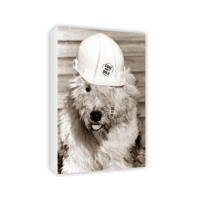 Foto Dog wearing a hard hat - Art Canvas foto 882288