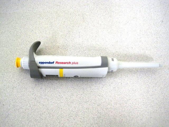 Foto Eppendorf - research plus 200 ul - Lab Equipment Pipettes . Product... foto 724183