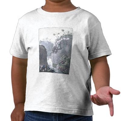 Foto Exploradores con la expedición de Humboldt en el b T-shirts foto 75618