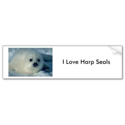 Foto Foto blanca de la foca de Groenlandia de un perrit Pegatina De... foto 134013