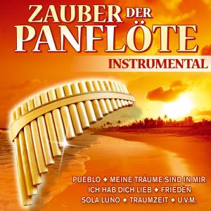 Foto Friedbert Kerschbaumer: Zauber Der Panflöte/Instrume CD foto 286550