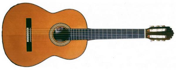 Foto Guitarra clasica fg foto 172909