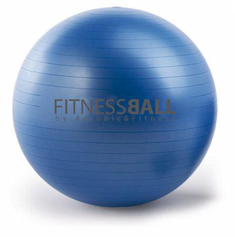 Foto Gym Company Fitness Ball 65cm foto 477852