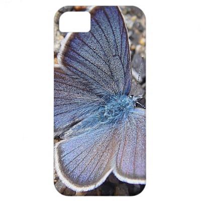 Foto iPhone 5 funda mariposa azul Iphone 5 Case-mate Carcasas foto 13859
