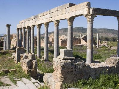 Foto Lámina fotográfica Palaestra, Greco-Roman Gymnasium, Roman Site of Thuburbo Majus, Tunisia, North Africa, Africa de Ethel Davies, 61x46 in. foto 719625