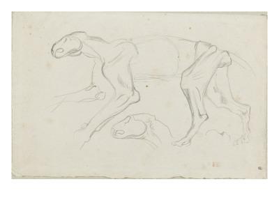 Foto Lámina giclée Etude de félin écorché, et d'une tête de Eugene Delacroix, 61x46 in. foto 972142