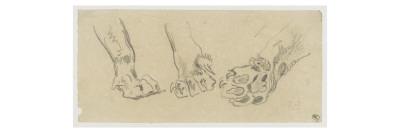 Foto Lámina giclée Trois études de pattes de félin de Eugene Delacroix, 61x20 in. foto 972141
