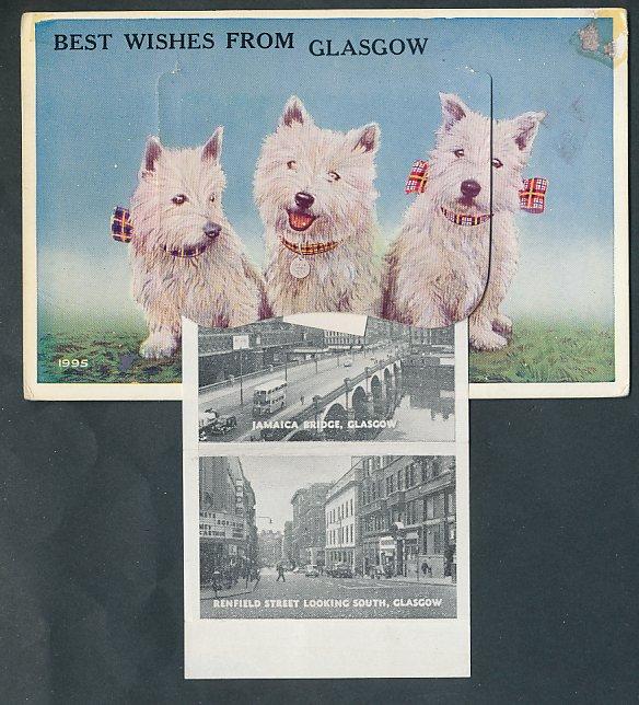 Foto Leporello-Postal Glasgow, 3 weiße Terrier, The Kelvin Hall, Jamaica Br foto 24809