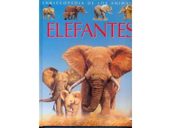 Foto Libro 30x24cm Enciclopedia Tapa Dura Elefantes foto 702151