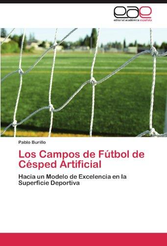 Foto Los Campos de Fútbol de Césped Artificial: Hacia un Modelo de Excelencia en la Superficie Deportiva foto 779721