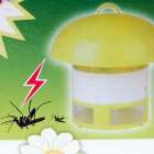 Foto Mosquitos hongos y bichos Lamp Killer foto 336465