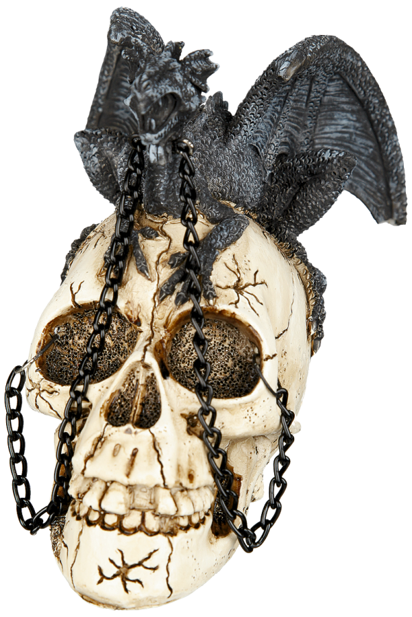 Foto Nemesis Now: Dragon familiar skull - Calavera decorativa, 12,5 x 12,5 x 12,5 cm foto 510951
