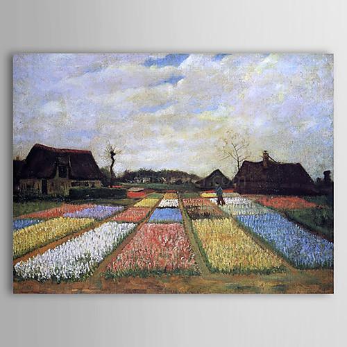 Foto Pintura al óleo famosa macizos de flores en Holanda por Van Gogh foto 923496
