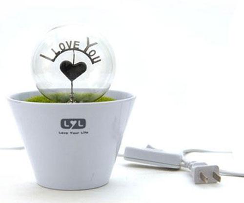 Foto Romantic Flower Pot Lamp Night Light - I Love You foto 830263