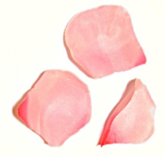 Foto ROSE LIGHT PINK Confetti Fabric Petals Of Pink 1 Kg foto 489598