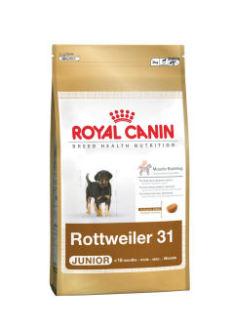 Foto Royal Canin Rottweiler Junior 12 Kg foto 540858